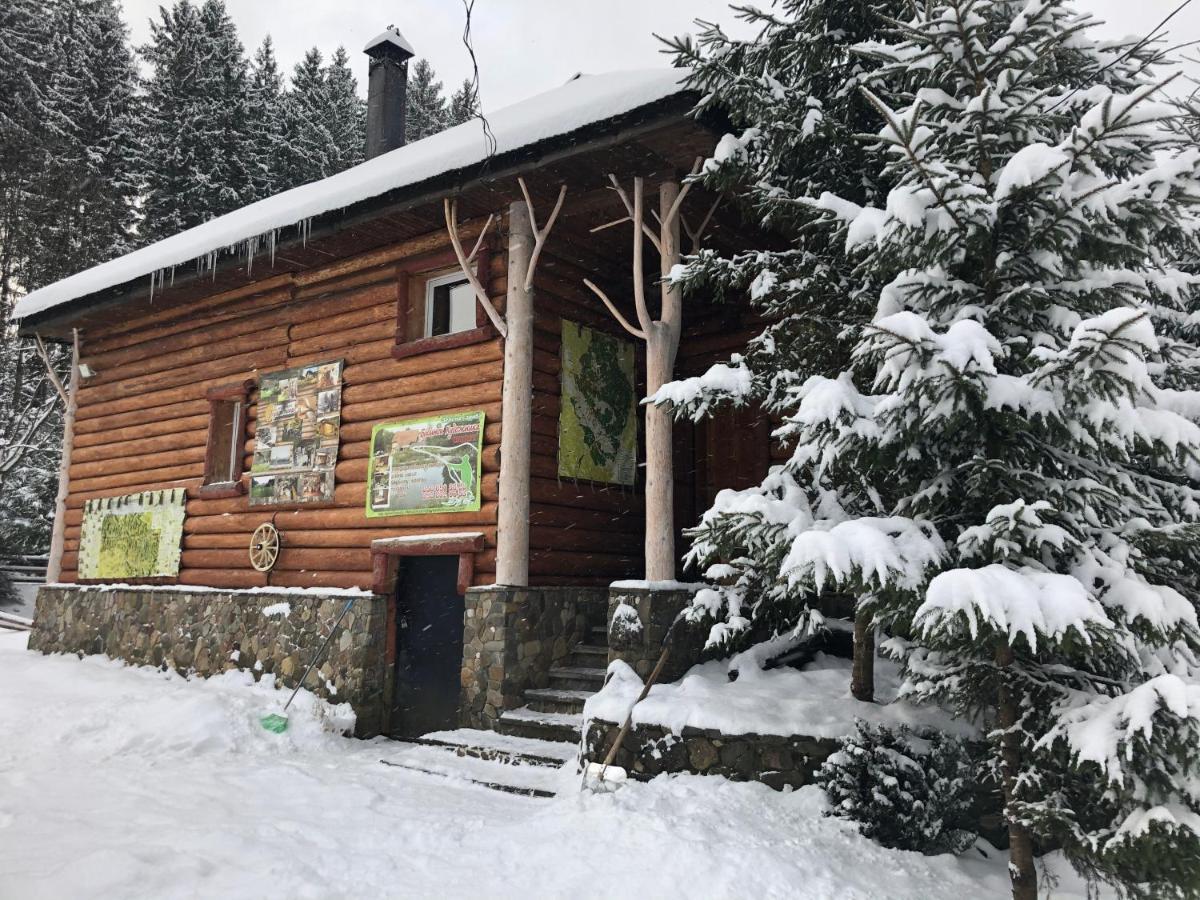 Будинок Художника Synevyrsʼka Polyana エクステリア 写真